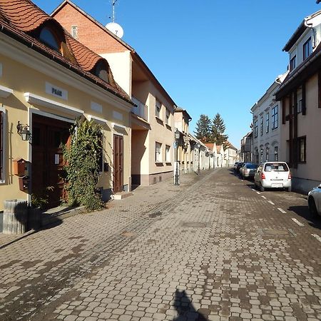 شقة Mosonmagyaróvár  في Csillagvirag Apartman المظهر الخارجي الصورة
